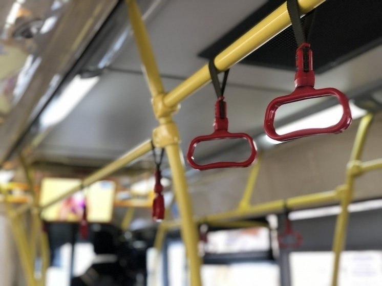 За 10 месяцев в Тульской области нашли 112 нарушений при перевозке детей