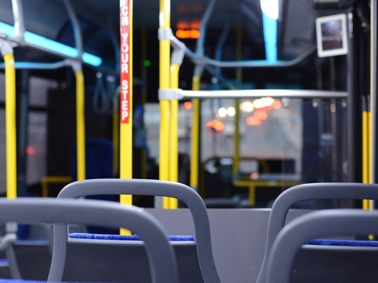 Высаженный из автобуса россиянин замерз насмерть