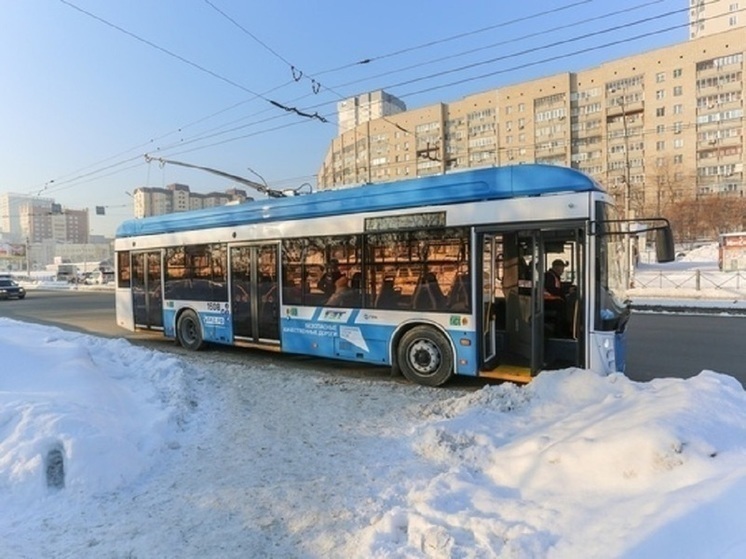 В Новосибирске собаку ударило током при заходе в троллейбус