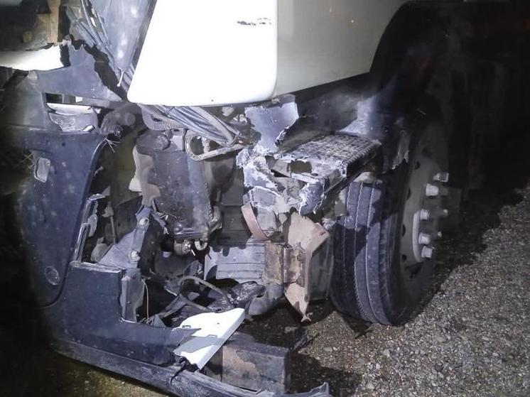 В Крымском районе Кубани под колесами автомобиля погиб олень