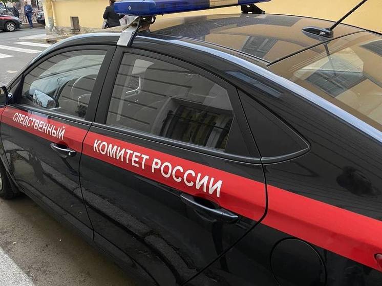Ребенок отравился неизвестным веществом на детской площадке под Гатчиной