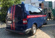 В погребе хозяйственной постройки дома в одном из сел Слободо-Туринского района было обнаружено тело мужчины