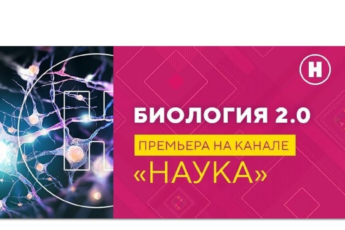 Документальный цикл «Биология 2.0» — впервые на телеканале «Наука» - МК  Владимир