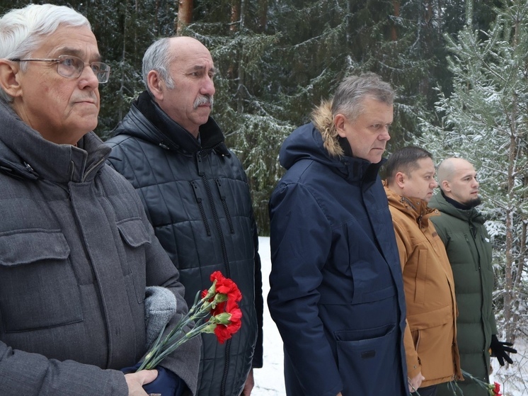 Останки трех красноармейцев перезахоронили возле поселка Черкасово