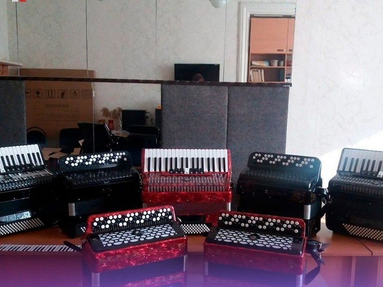 Музыканты из Макеевской школы искусств получили в дар баяны и аккордеоны
