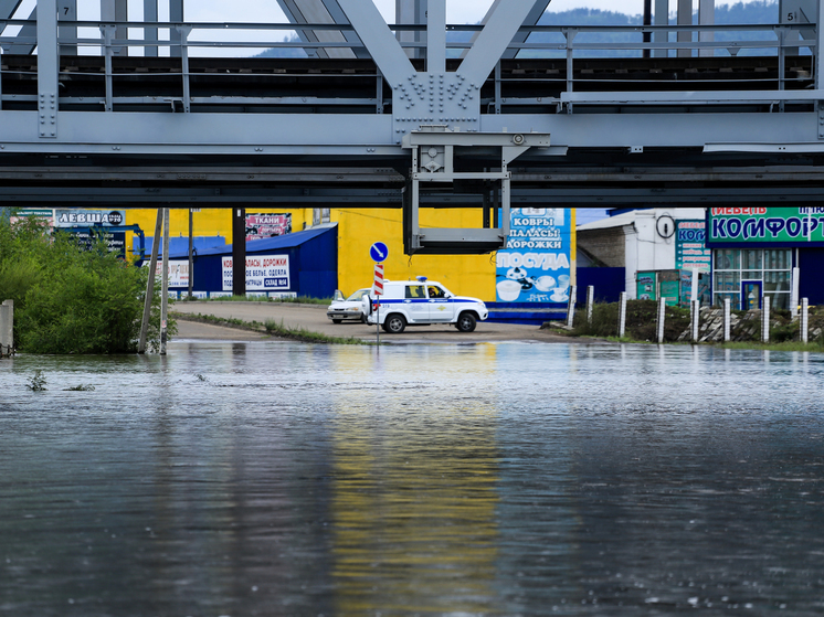Правительство России направит 124 млн рублей на защиту Забайкалья от наводнений