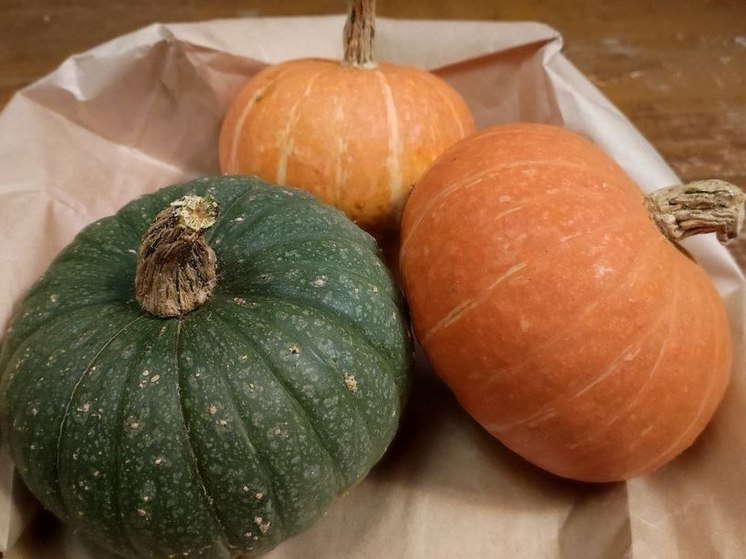 Жителям Мурманской области рассказали о пользе тыквы