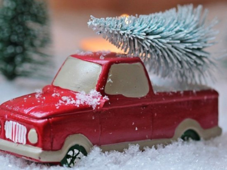 Минприроды Карелии сообщило, где взять живую ель на Новый год