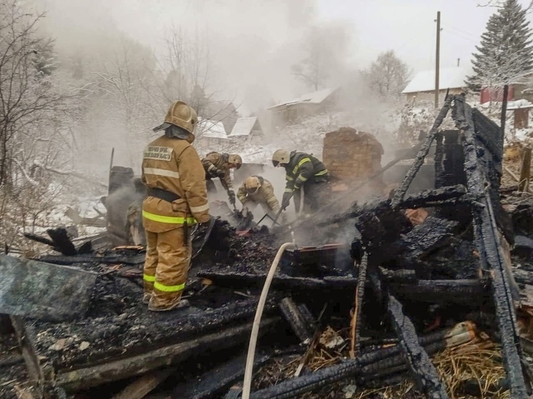 При пожаре в СНТ под Новодвинском погиб мужчина