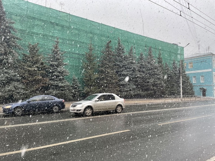 26 ноября в Рязанской области ожидается сильный снег и до +2 градусов