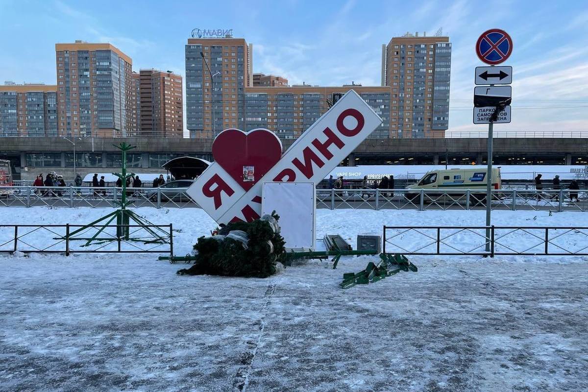 В Мурино начали устанавливать новогоднюю елку - МК Ленинградская область