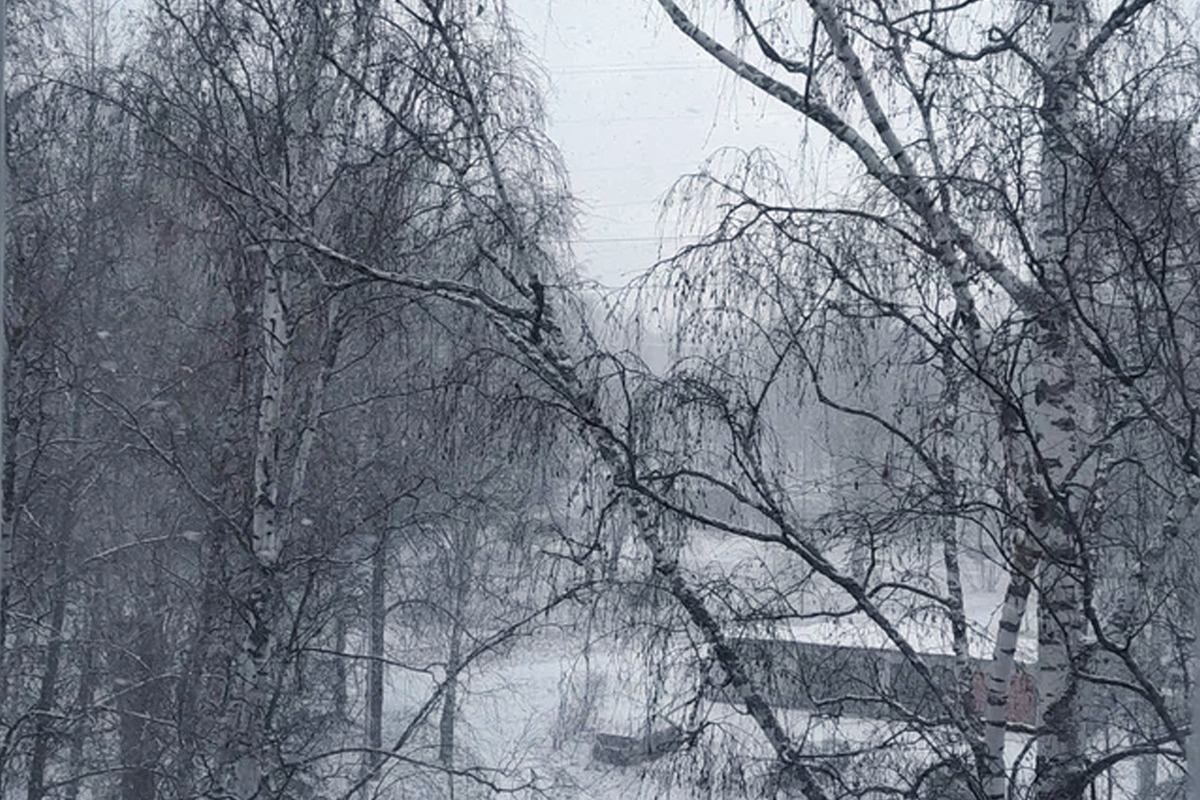26 ноября Ивановской области пообещали переменную облачность и небольшой снег