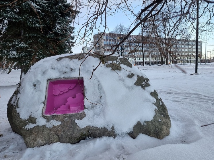 Котопесый дом построили у мэрии Петрозаводска