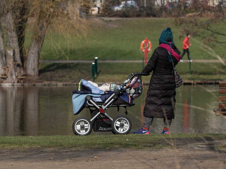 Более двадцати пяти тысяч заявителей из ДНР получили материнский капитал