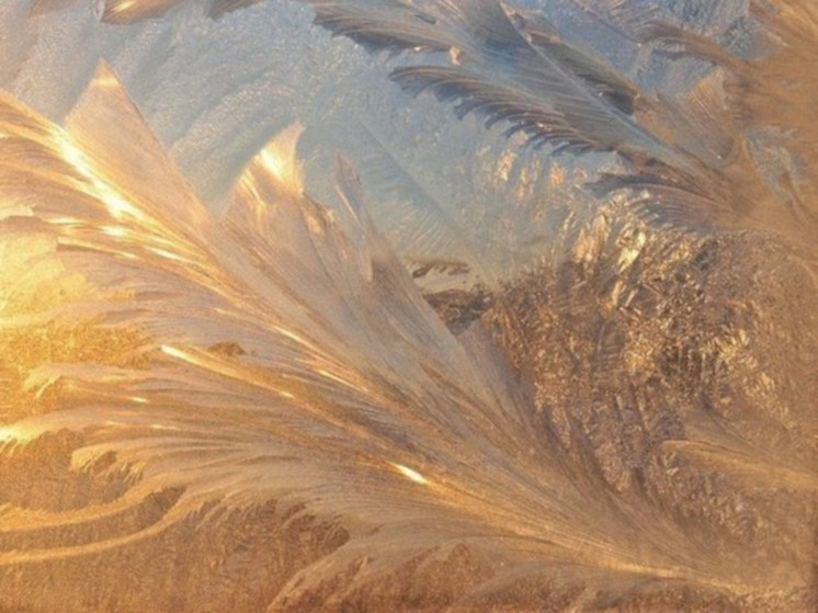 Последнее воскресенье ноября в Карелии будет морозным