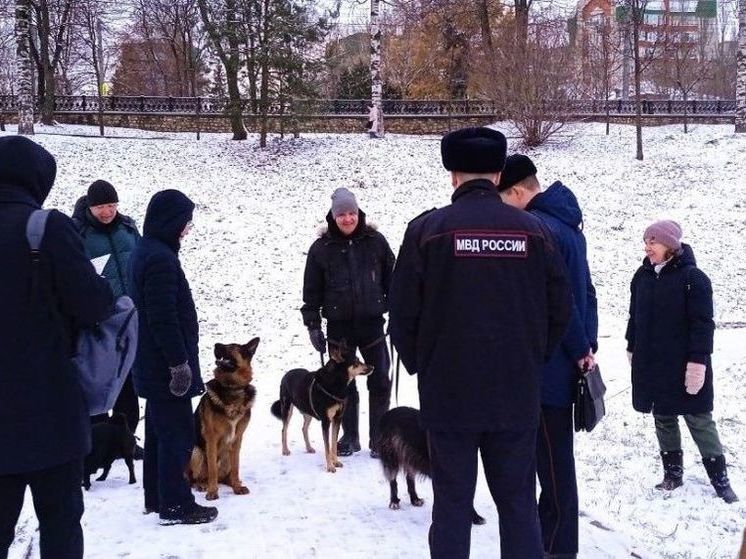 В Кирове проверяют правильно ли жители выгуливают домашних животных