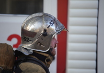 Два человека погибли в ночном пожаре в Невском районе Петербурга. Там загорелась дощатая постройка, сообщили в пресс-службе ГУ МЧС Петербурга.