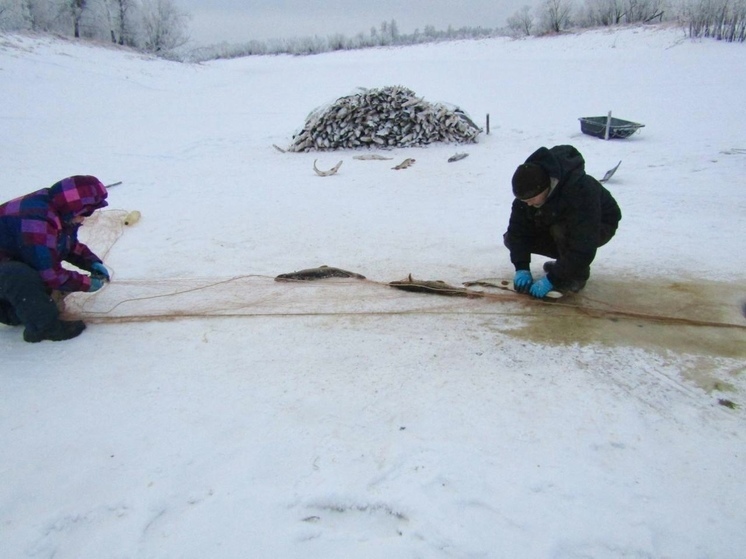 Рыбаки Красноселькупского района приступили к зимнему промыслу