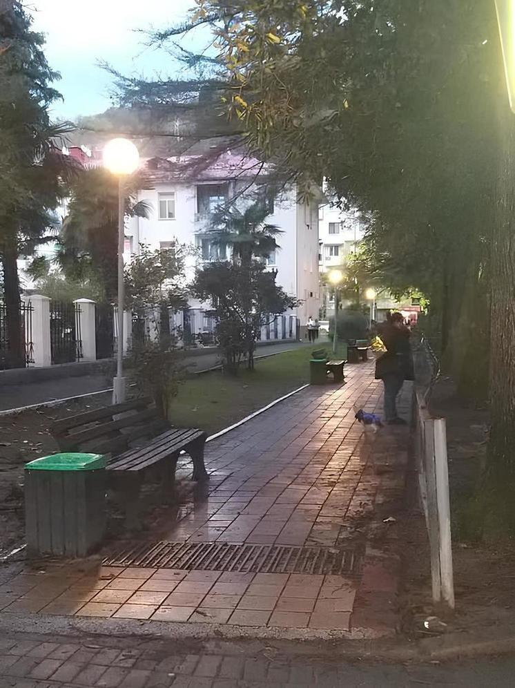Работники «Сочисвета» восстановили уличное освещение в ряде районов курорта