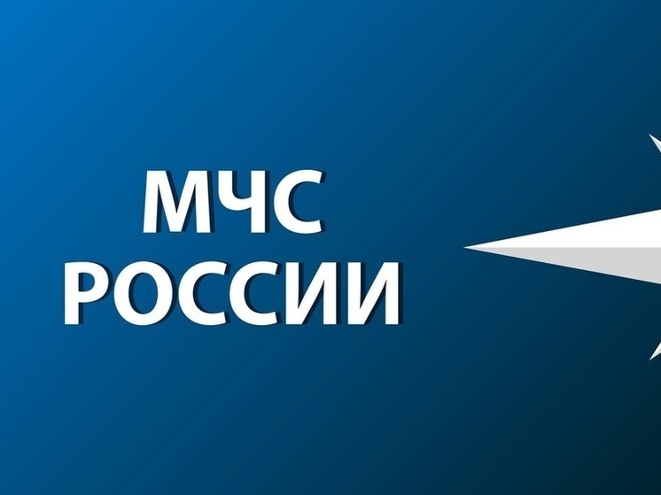 Алтайские спасатели рассказали, как вести себя при ДТП