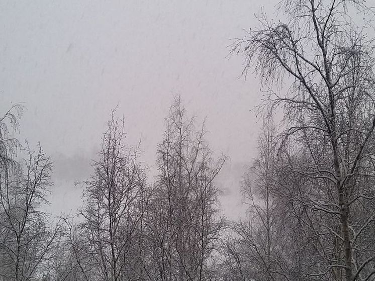 В МЧС предупредили петербуржцев о метели и сильном ветре 27 ноября