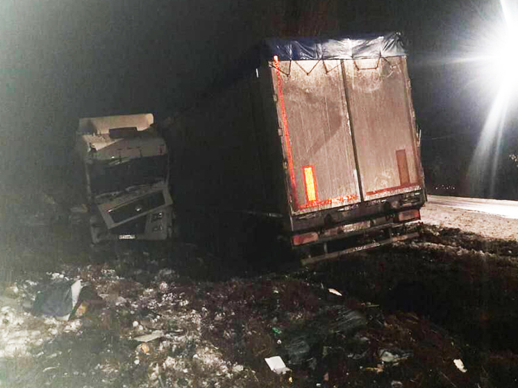 Под Воронежем большегруз с прицепом съехал в полночь с трассы в кювет и врезался в дерево