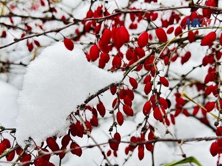27 ноября в Рязанской области ожидается снег с дождём и до +4 градусов