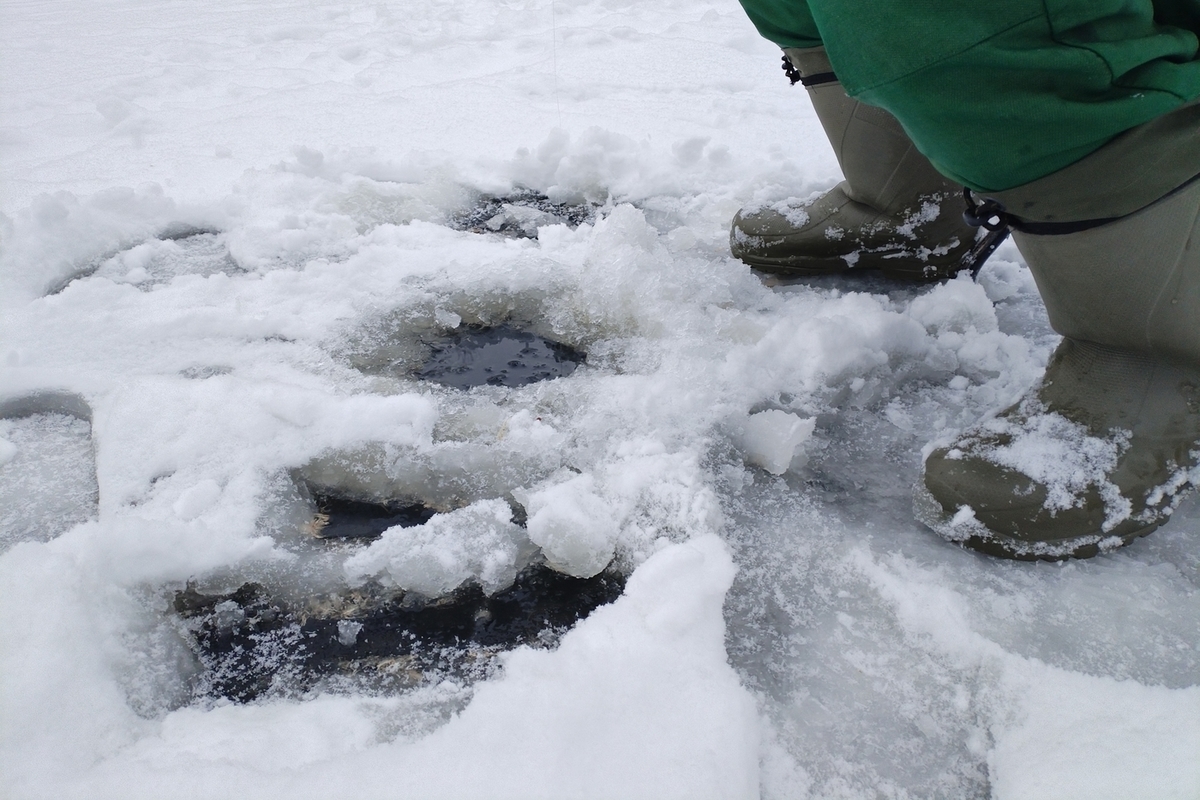 В МЧС Новгородской области рассказали, как спастись при провале под лед