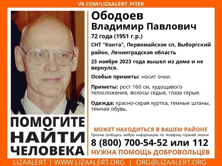 В садоводстве под Выборгом четвертый день ищут пропавшего пенсионера