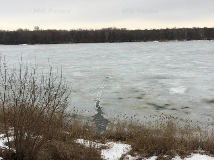 В Мичуринском округе из реки водолазы извлекли тело погибшего