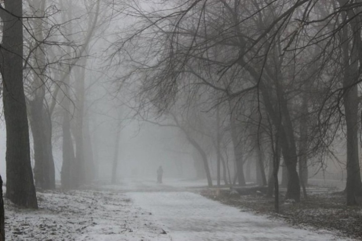 Сильнейший туман накроет Тамбовщину в ночь с 26 на 27 ноября