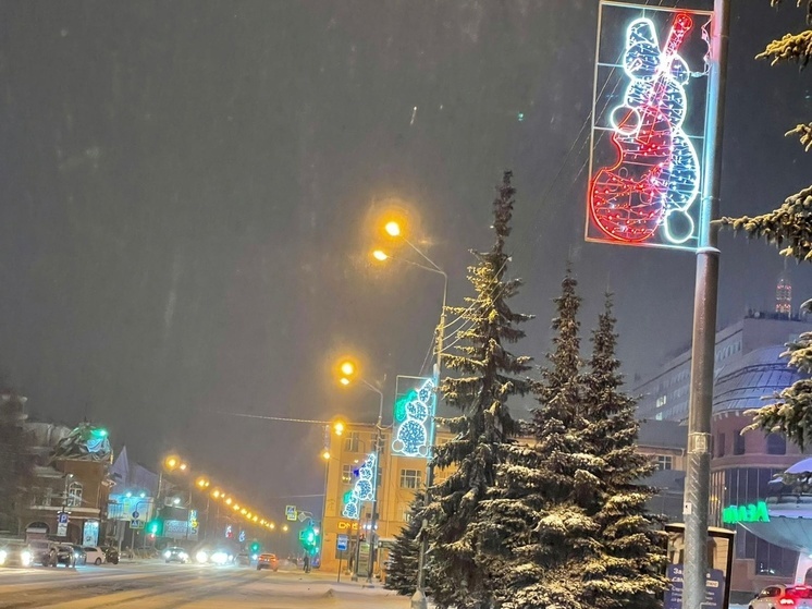 Веселые снеговики украсили световые опоры в Архангельске