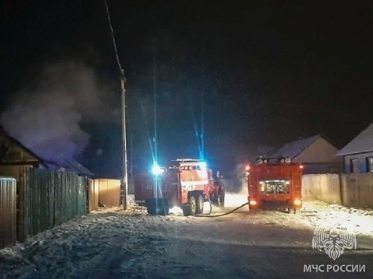 В пожарах в Хакасии пострадали курицы