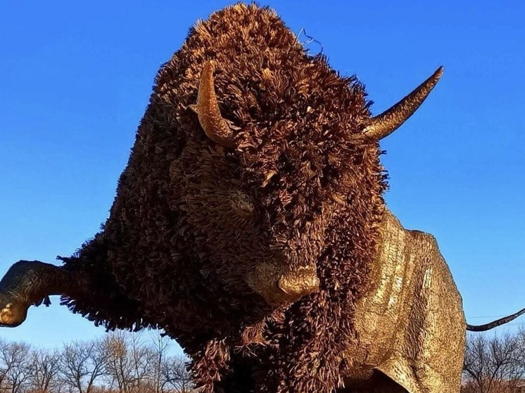 Скульптуру бизона установят летом 2024 года в Краснокаменске