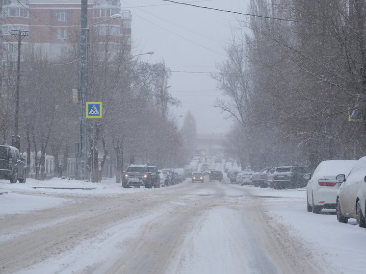 Гидрометцентр предупредил о сильных снегопаде и ветре в Волгоградской области