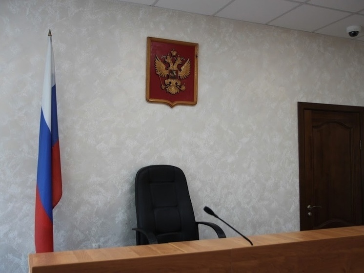 Жительница Архангельской области отделалась «условкой» за истязание новорожденного