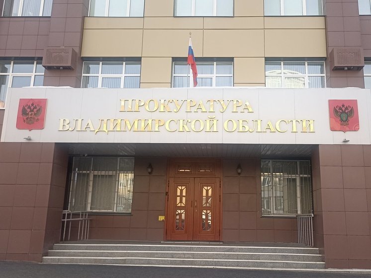 В Муроме укладывали тротуарную плитку по снегу
