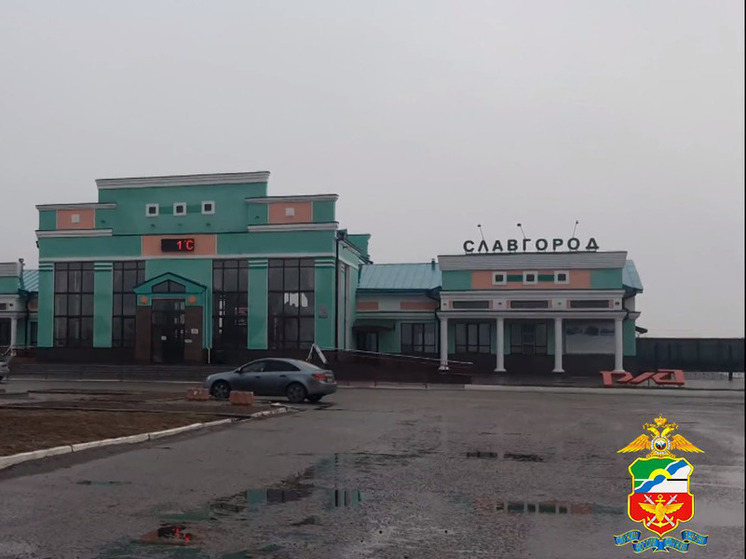 В Славгороде задержан иностранец с крупной партией наркотиков