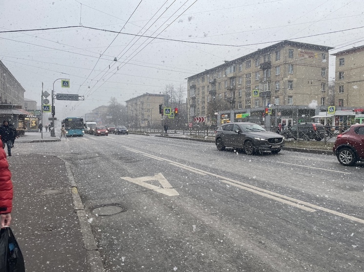 Снег и порывистый ветер: какая погода будет в Петербурге 27 ноября