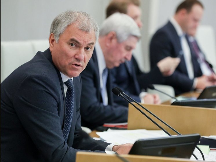 Володин предложил вернуть трудовое воспитание в школах