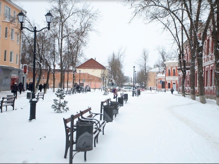 МЧС: сегодня в Псковской области прогнозируют сильный снег