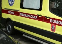 Житель столицы погиб, провалившись под лед в подмосковной деревне Новосельцево (городской округ Мытищи)