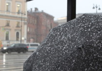 В Петербурге «желтый» уровень опасности объявили почти на сутки. Днем 27 ноября ожидается усиление северно-восточного и северного ветра, а вечером и ночью – сильный снег, сообщили в пресс-службе городской администрации.