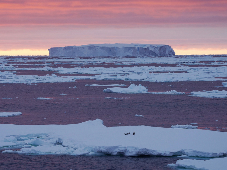 Record-breaking ice block called a threat to ships and wildlife