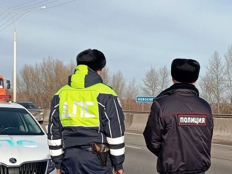За неделю в Алтайском крае поймано 134 пьяных водителя