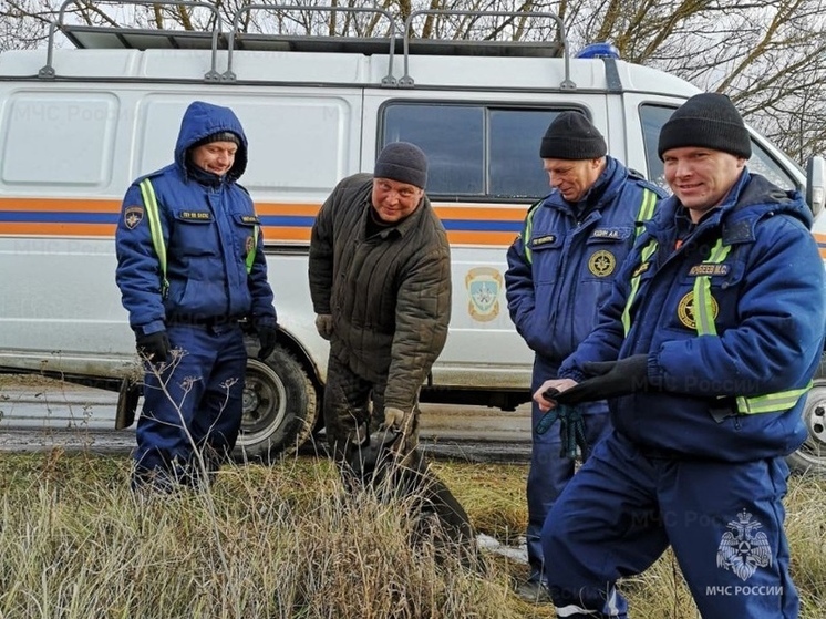 В Орловском МО из западни спасли собаку