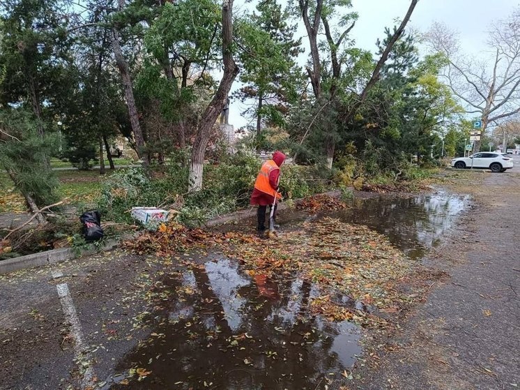 Десятки поваленных деревьев и отмена занятий в школах: ночью Анапу накрыл  сильнейший шторм