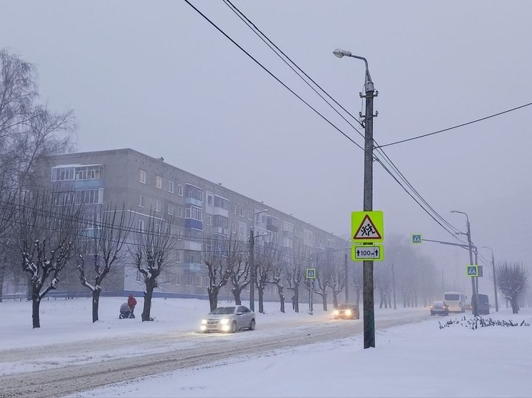 На прошлой неделе пензенцы ожидаемо были недовольны уборкой снега