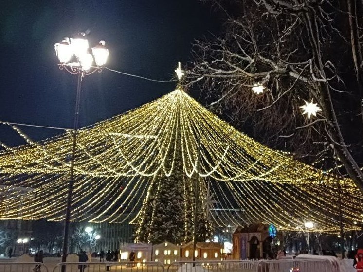 В Великом Новгороде впервые установят светящиеся буквы «ВН» к Новому году