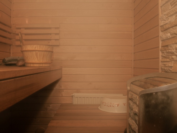 Молодой житель Петрозаводска устроил дебош в сауне